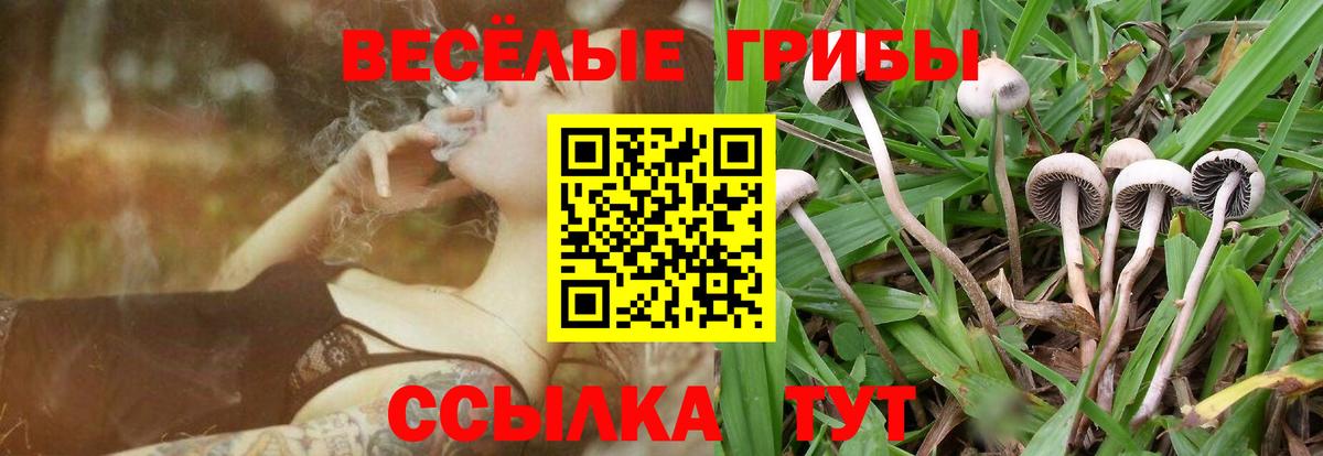 Галлюциногенные грибы Psilocybe  Псилоцибиновые грибы Psilocybine cubensis  Пушкино  Вход с VPN 